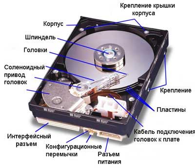 винчестер